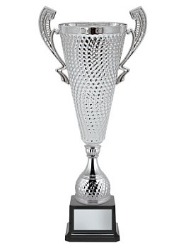 Кубки престижные - KM2976
