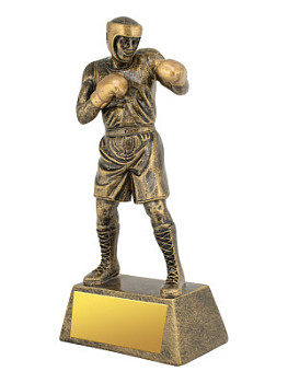 Приз тематический «Бокс» - PS1947