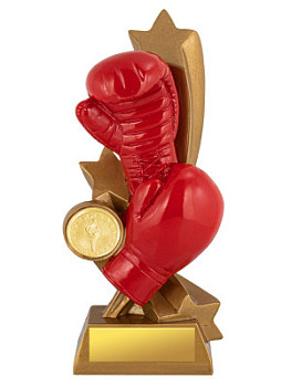 Приз тематический «Бокс» - PS1945