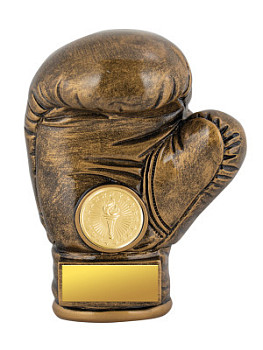 Приз тематический «Бокс» - PS1946a