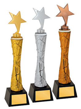 Приз наградной «Звёзда» - PS1819