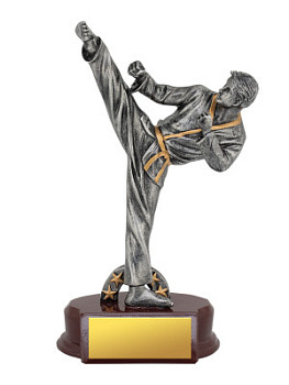 Приз тематический «Карате м.» - PS1954